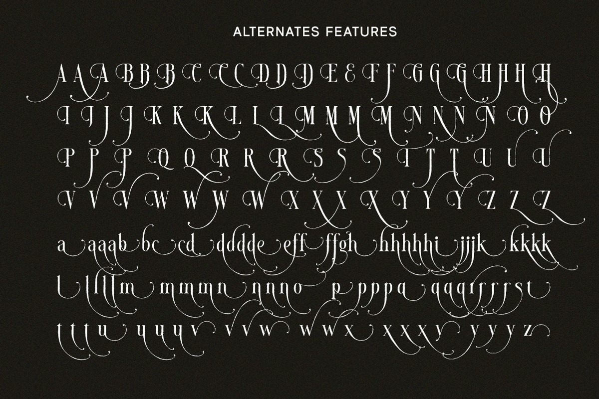 Mirellow White Distressed Serif, a Serif Font by Letterhend Studio (Photo 6 of 13)