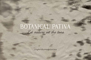 Botanical Patina Backgrounds, a Background Graphic by DigARTbyHavroshka (Thumbnail 12 of 12)
