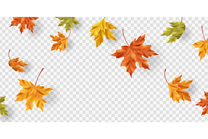 Realistic maple leaf border with, an Object Illustration by art PVP - market
