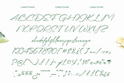 Diffe Rentys Romantic Handwritten, a Script Font by stylishtype.co (Thumbnail 9 of 10)