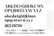 Ogelic - Serif Typeface, a Serif Font by Ardyanatypes (Thumbnail 11 of 12)