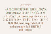 Countryside - A Modern Serif Family, a Serif Font by Megi Satyo Widodo (Thumbnail 20 of 22)