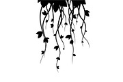 Hanging Vines Silhouette, an Object Graphic by Creativeshirt (Thumbnail 8 of 20)