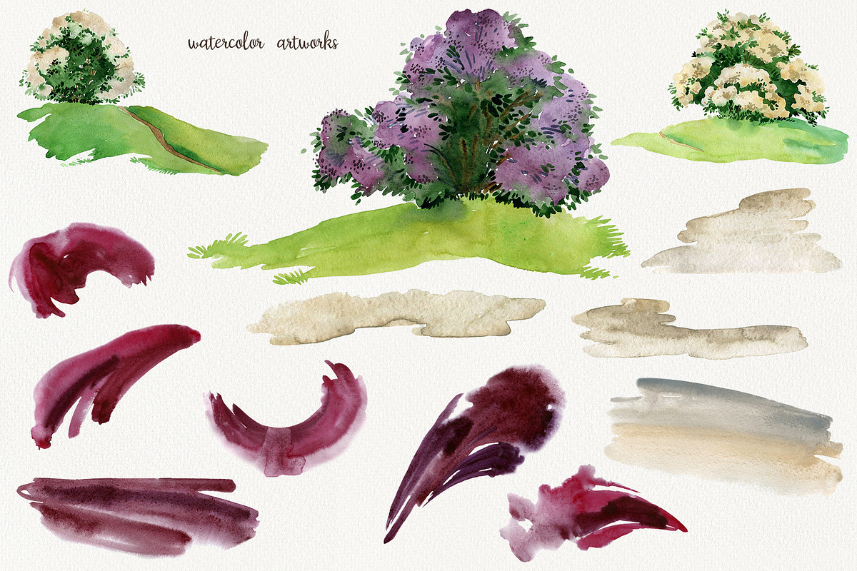 Elderberries&Elderflowers Collection, a Food Illustration by TanyaOak (Photo 8 of 9)