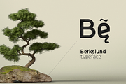 Berkslund Typeface, a Font by Newface (Thumbnail 5 of 5)