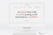 Megafield Serif Family | 12 Fonts, a Serif Font by Mulkan Nazir (Thumbnail 7 of 16)