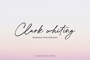 De Lionist - Handwritten Script Font, a Handwritten Font by Myn Type (Thumbnail 8 of 15)