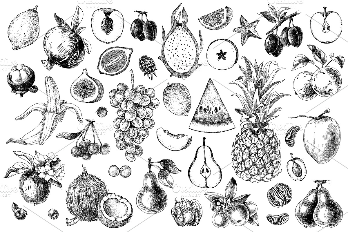 Hand drawn fruits and berries, an Object Graphic by handsketched (Photo 8 of 14)