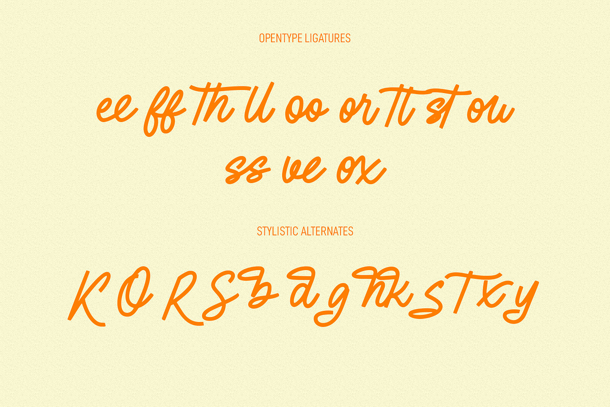 Slashty Handwritten Script Signature, a Script Font by Maulana Creative (Photo 7 of 10)