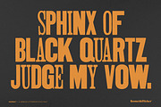 MISPRINT! - A Jumbled Woodtype Font, a Font by Komet & Flicker (Thumbnail 4 of 15)