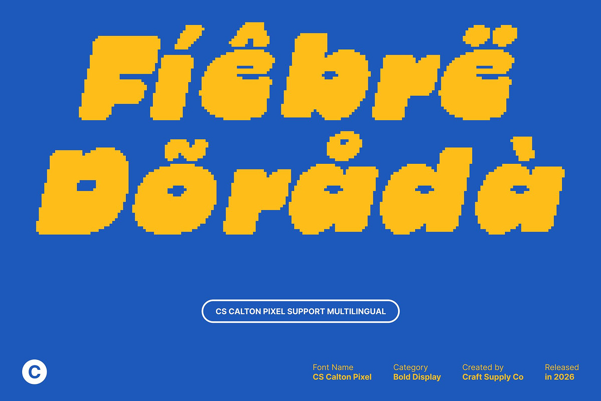 CS Calton Pixel, a Sans Serif Font by Craft Supply Co. (Photo 6 of 8)