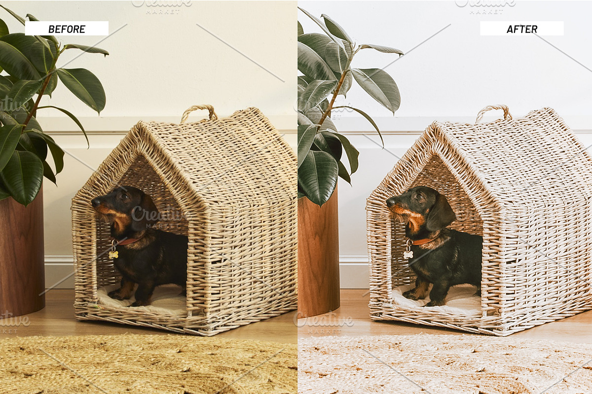 Lightroom Presets for Product & Food, an Action Add-On by Best Lightroom Presets (Photo 31 of 31)