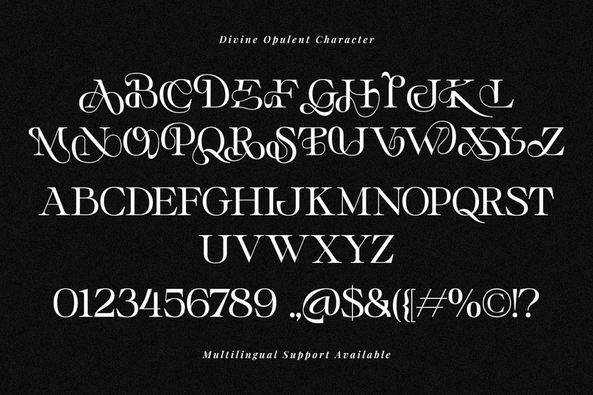 Divine Opulent - Display Serif, a Serif Font by Prioritype Co (Photo 10 of 10)