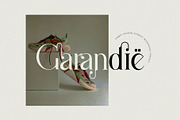Sattins Ligature Serif Typeface, a Serif Font by Humaira_std (Thumbnail 11 of 13)