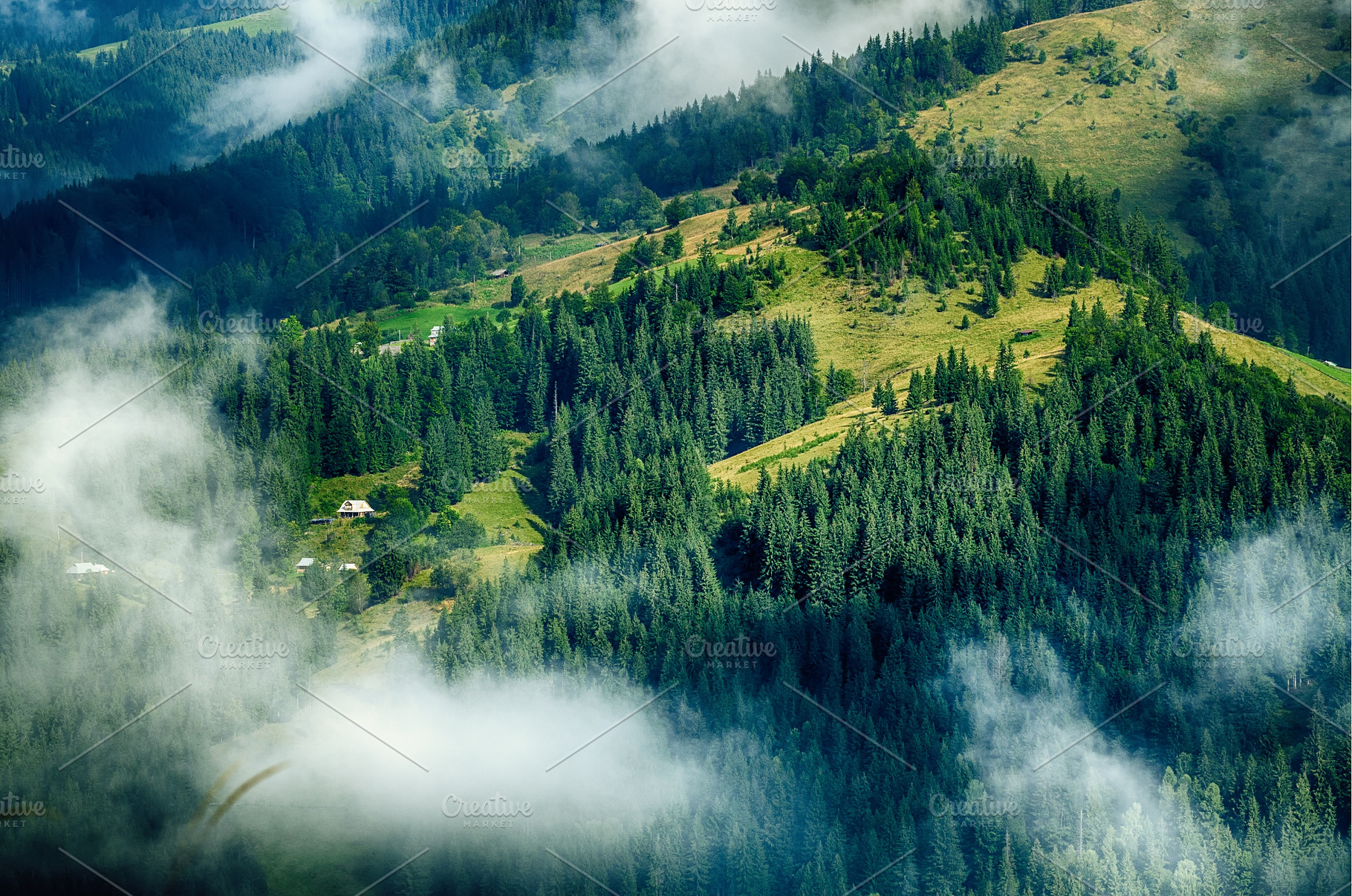 Foggy morning landscape, a Nature Photo by Nature and travel