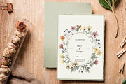 Watercolor Meadow Florals Set, a Decorative Illustration by MayaNavits (Thumbnail 5 of 8)