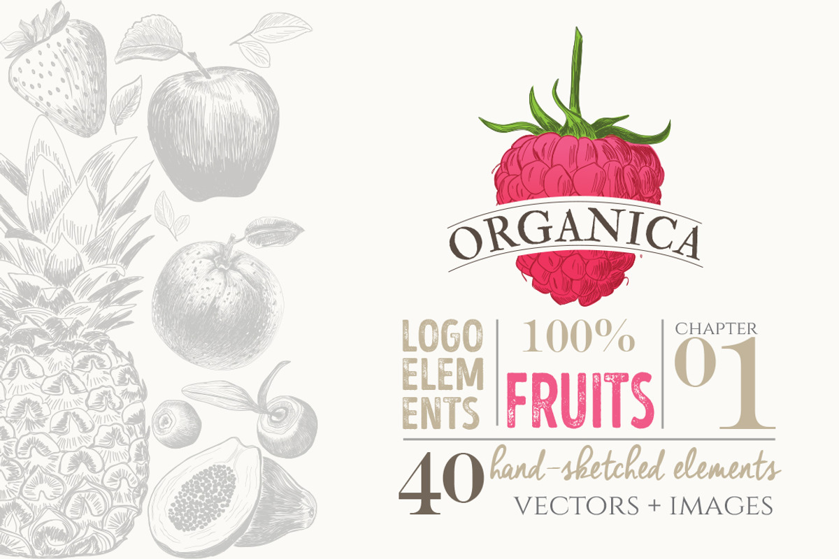 ORGANIC LOGO ELEMENTS – FRUITS, an Illustration by Friendly Label (Photo 1 of 5)