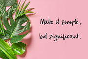 Tropical Trail Script, a Script Font by Beck McCormick (Thumbnail 4 of 10)