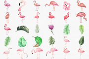 Watercolor Flamingo Clipart Set, an Animal Illustration by CropUp Creative (Thumbnail 2 of 4)