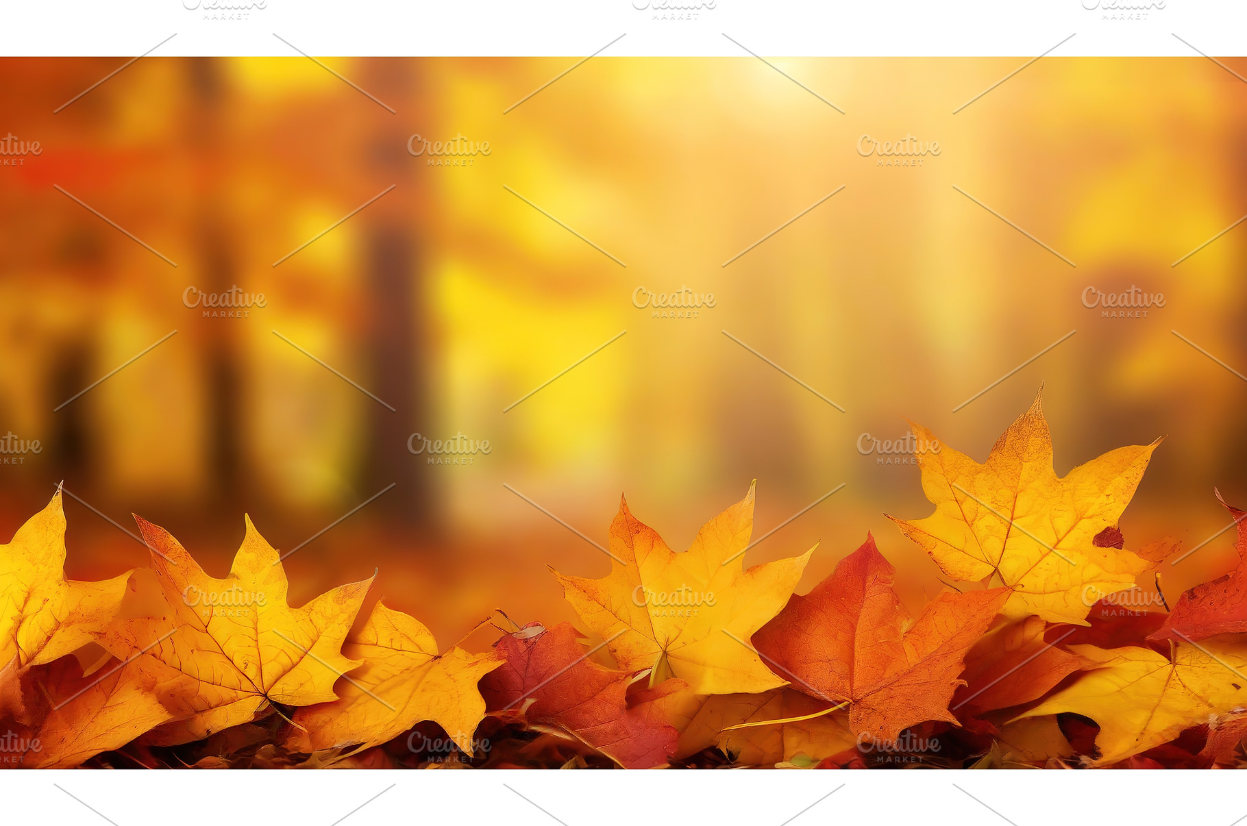 Close-up of colorful autumn leaves, a Nature Photo by Igor Tichonow