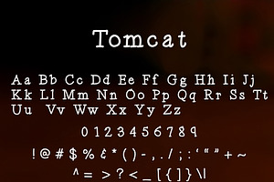 Tomcat