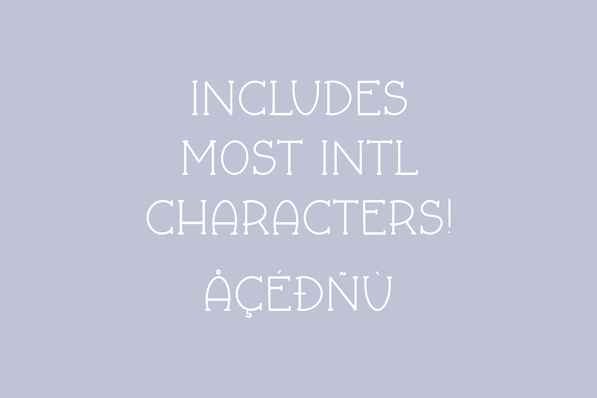 FALL & FLAIR Farmhouse Serif Font, a Serif Font by Blush Font Co. (Photo 5 of 6)