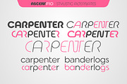 Ascent Pro (18 fonts), a Sans Serif Font by Fontop (Thumbnail 8 of 15)
