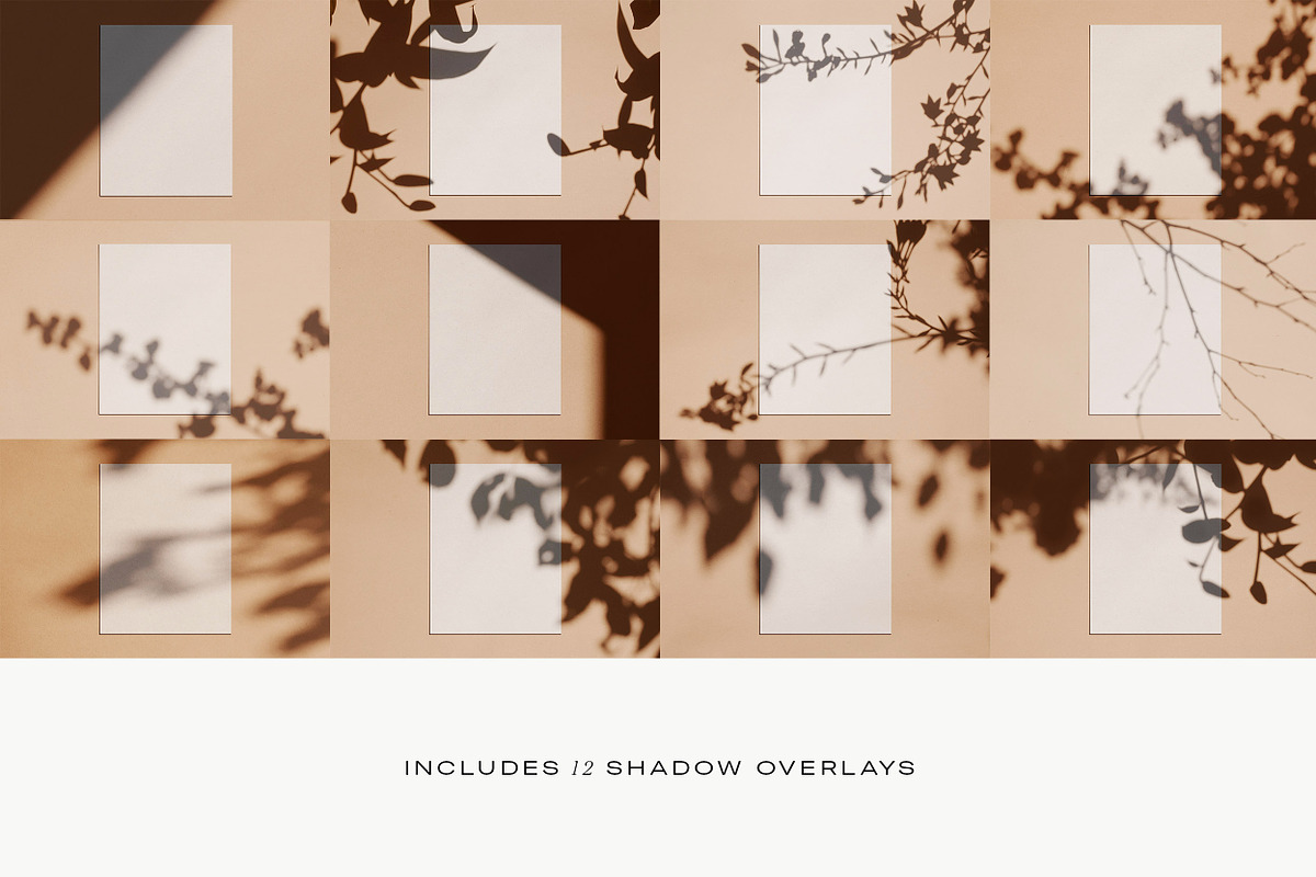 Louve – Shadow Mockup Scene Creator, a Product Mockup by October November (Photo 14 of 15)