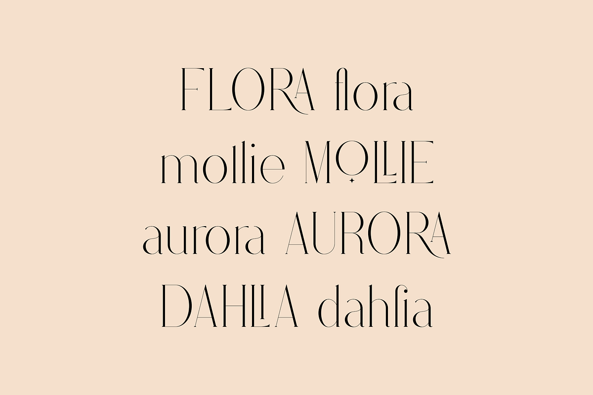 Stolen Love - Elegant serif typeface, a Serif Font by VP Fonts (Photo 8 of 34)