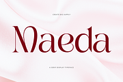 Maeda, a Sans Serif Font by CreateBigSupply (Thumbnail 1 of 8)