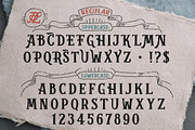 Countryman - Western Type Font + Web, a Slab Serif Font by Paul Lesser (Thumbnail 2 of 12)