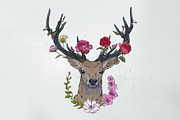 Deer illustration in line and color, an Illustration by Infinity Creativity (Thumbnail 2 of 4)