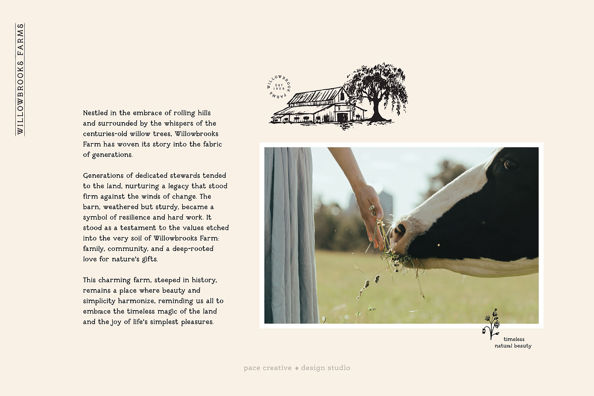Millie June: A Hand-Drawn Font, a Handwritten Font by Pace Creative Design (Photo 6 of 11)