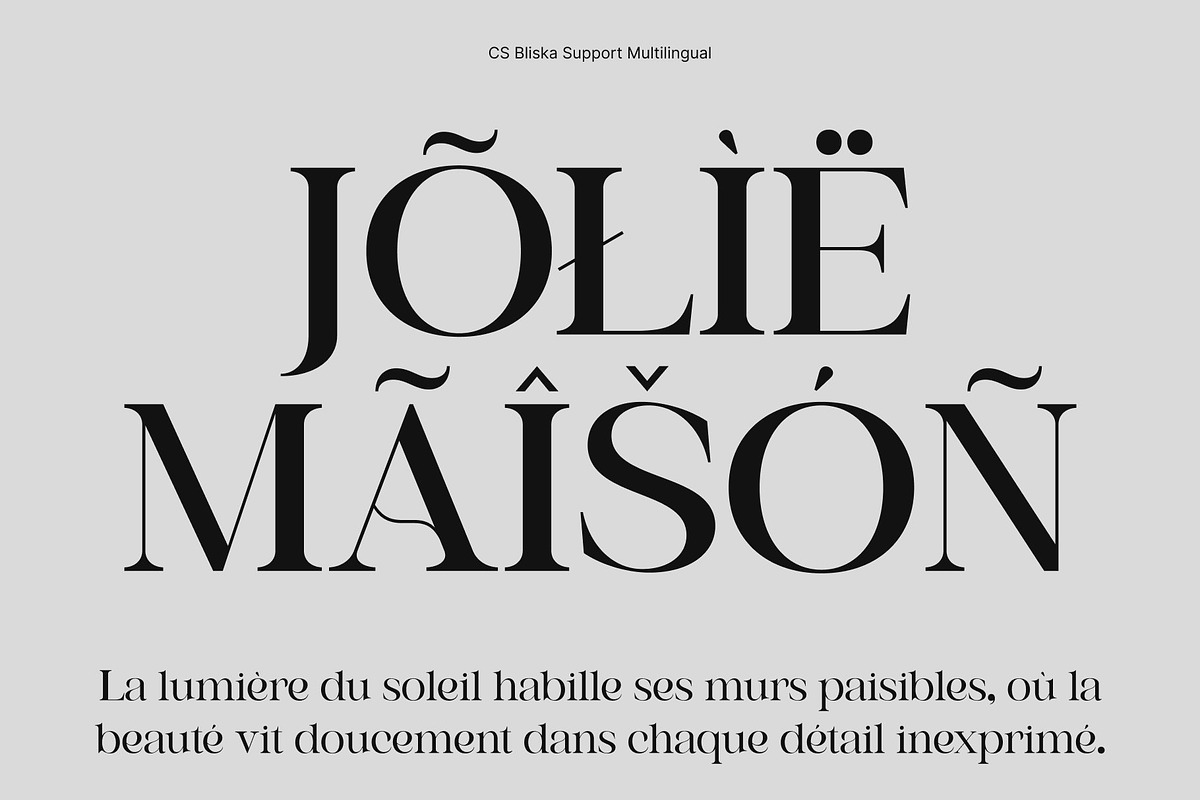CS Bliska – Elegant Serif Font, a Serif Font by Craft Supply Co. (Photo 5 of 8)