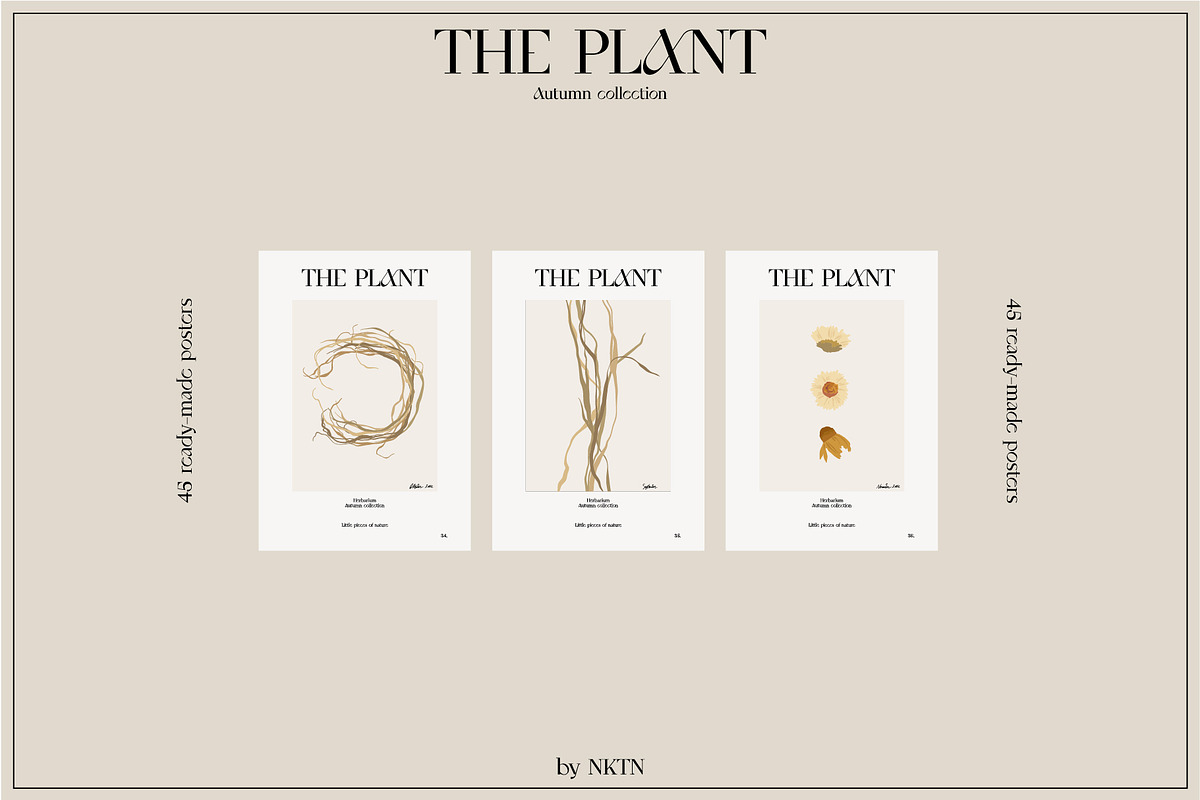 The PLANT. Autumn collection, a Pattern Graphic by NKTN (Photo 17 of 18)