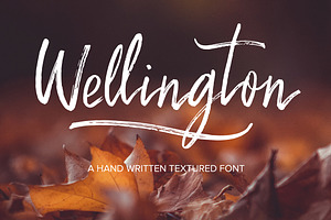 Wellington Script Font