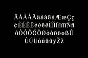 Silvex Editorial Serif Family Font, a Serif Font by UICreative (Thumbnail 3 of 13)
