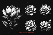 10 Bundle Dark Art Magnolia Flower, an Illustration by Morspective (Thumbnail 5 of 7)
