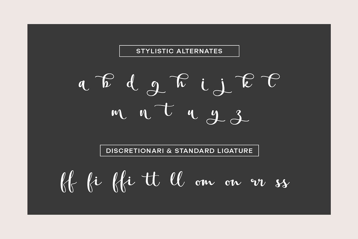 Clamaty script, a Script Font by Gatype (Photo 7 of 8)