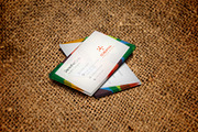 Business Card Multipurpose, a Business Card Template by DesignsStore (Thumbnail 2 of 3)
