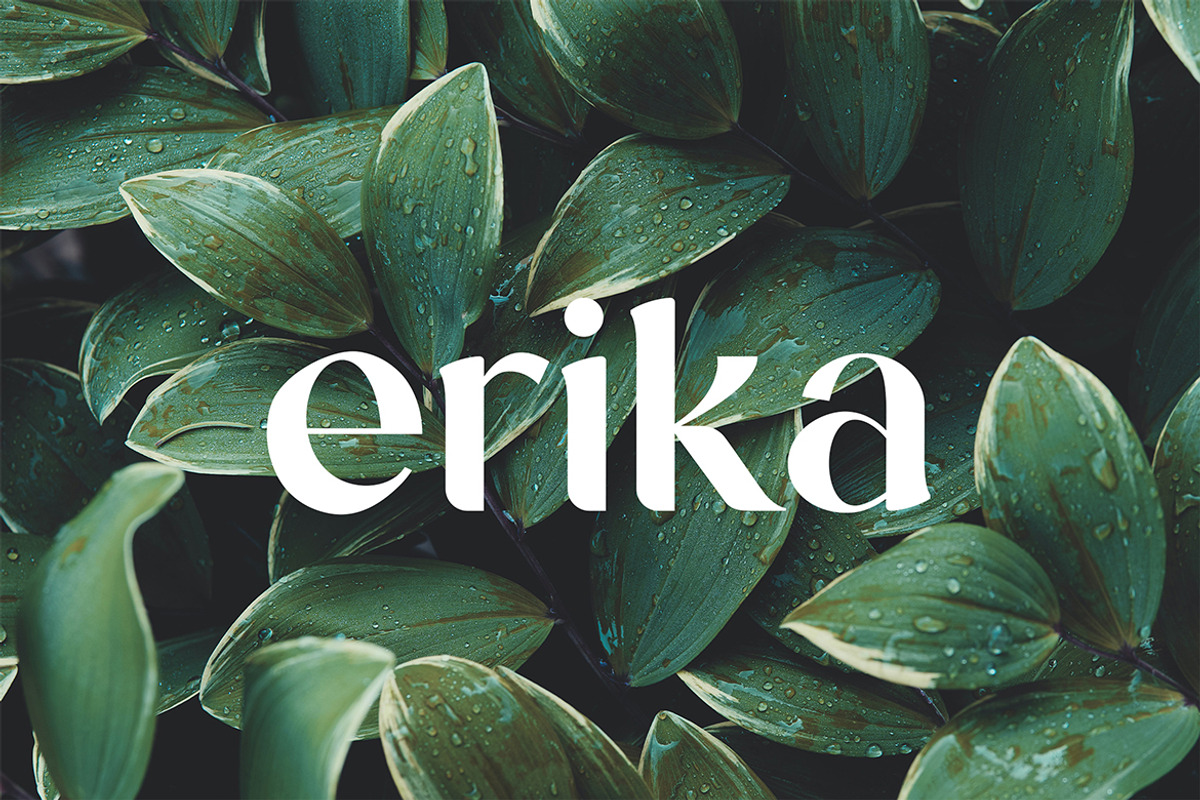 Heartbreak Luxury Serif Font, a Serif Font by UICreative (Photo 4 of 13)