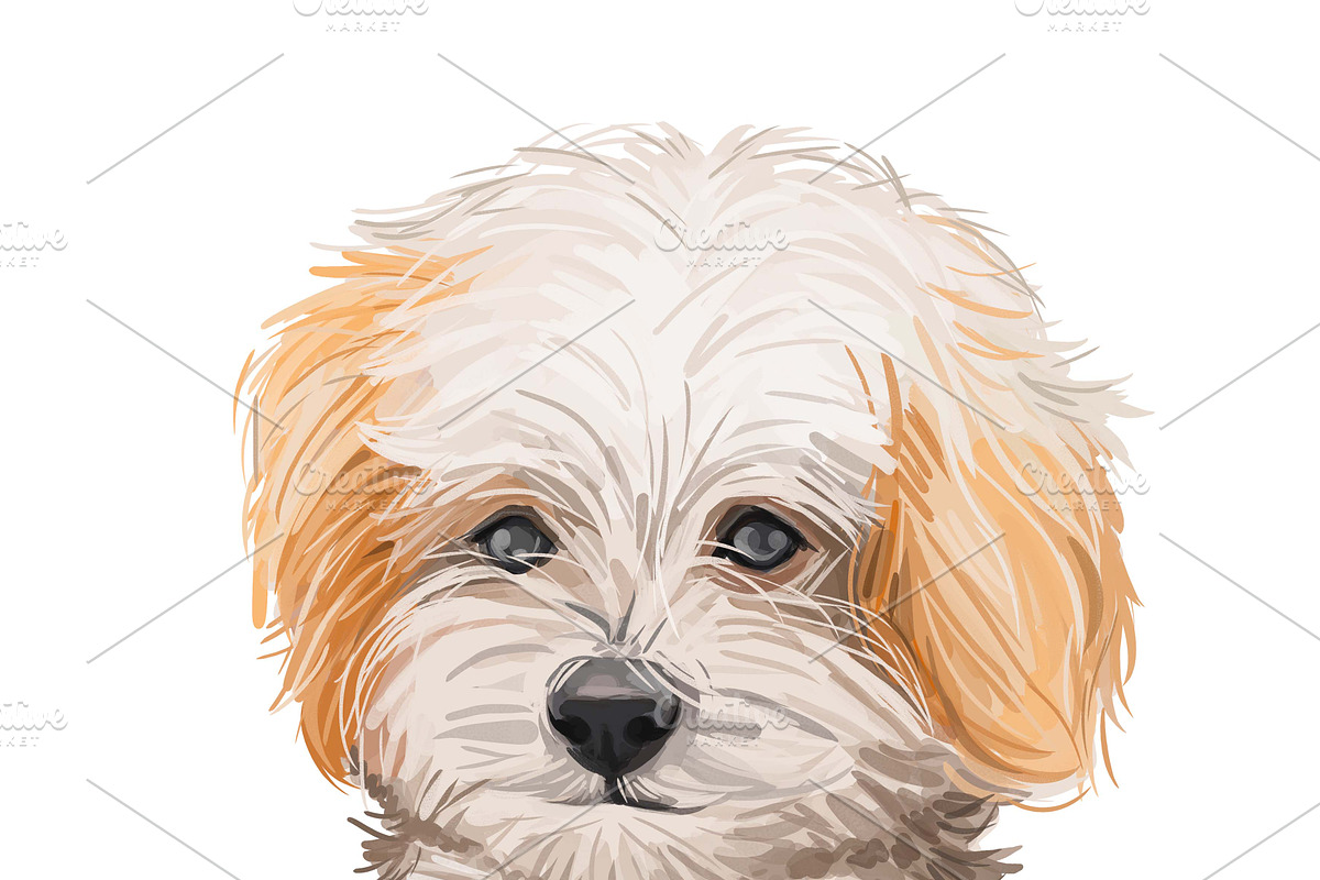 Dogs Cross Breeds 56 Animals Bundle, an Animal Illustration by Dneprstock (Photo 30 of 55)