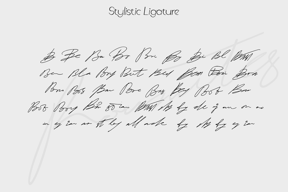 Roumites | Signature Script, a Handwritten Font by Mozyen Studio (Photo 4 of 11)