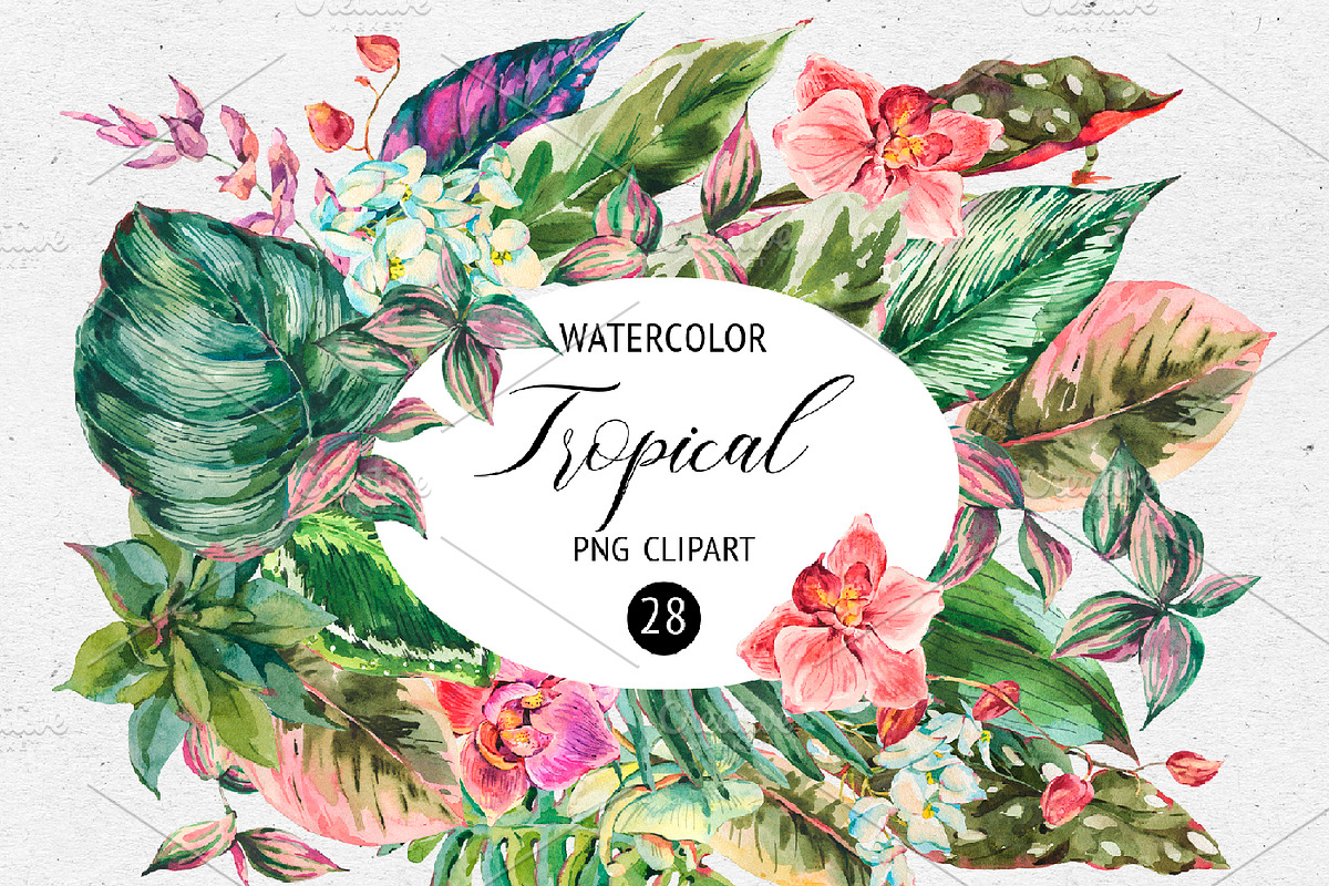 Tropical leaves graphic pack, an Illustration by Belusuab (Photo 1 of 16)