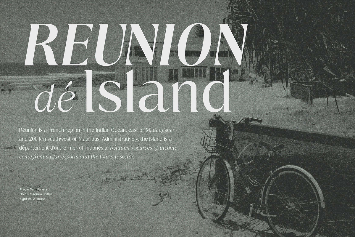Fregio - Serif Family (10 Fonts), a Serif Font by Dora Typefoundry (Photo 15 of 16)
