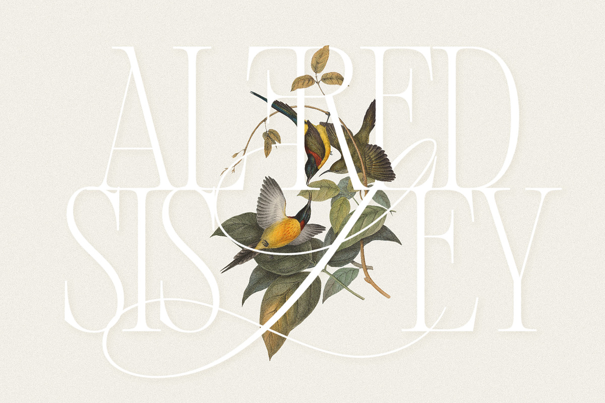 Alizee - Classy Hybrid Serif, a Serif Font by Harmonais Visual (Photo 16 of 29)