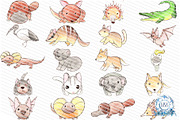 100+ Australian Animals Watercolour, an Animal Illustration by LilyBoo Clipart (Thumbnail 2 of 5)