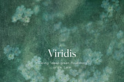 Veine Verte Botanical Backgrounds, a Background Graphic by alonahaidash (Thumbnail 17 of 20)