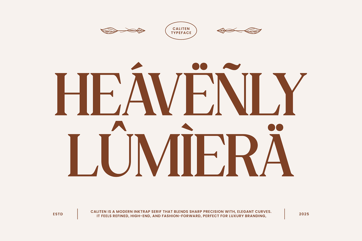 Caliten – Modern Inktrap Serif, a Serif Font by Mahesans Co (Photo 8 of 10)