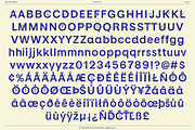 BN Blooms, a Sans Serif Font by Bnick (Thumbnail 17 of 17)
